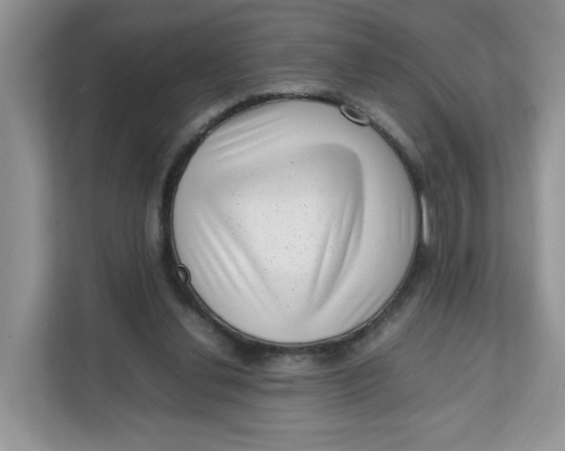 X0000111630252200908071417