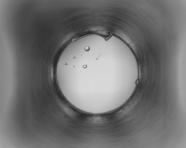 X0000111630253200908071417