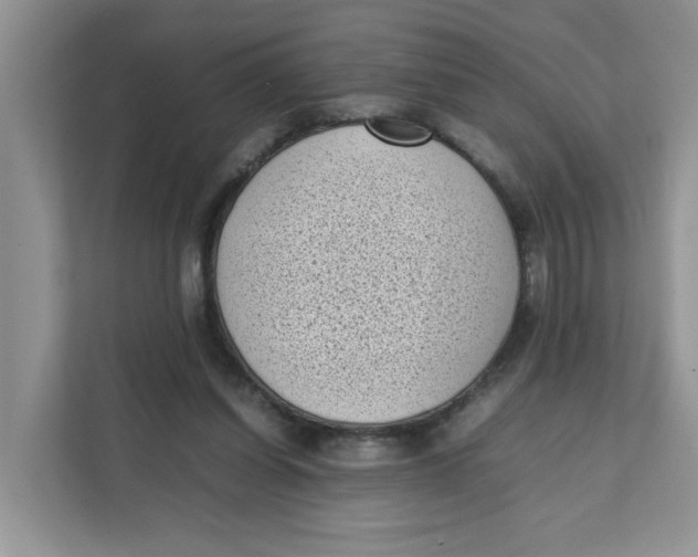 X0000111630254200908071417