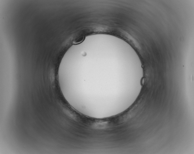 X0000111630257200908071417
