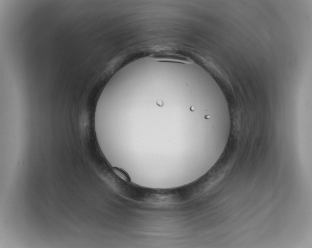 X0000111630260200908071417