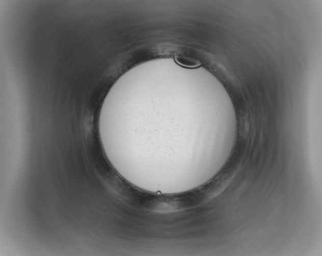 X0000111630263200908071417