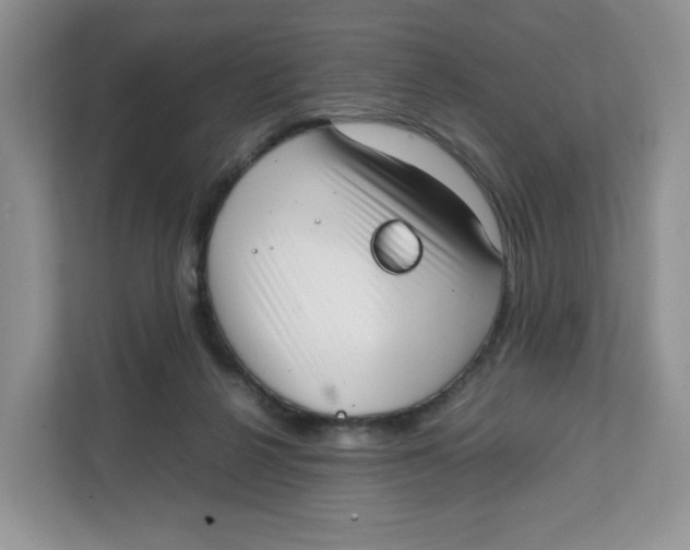 X0000111630264200908071417