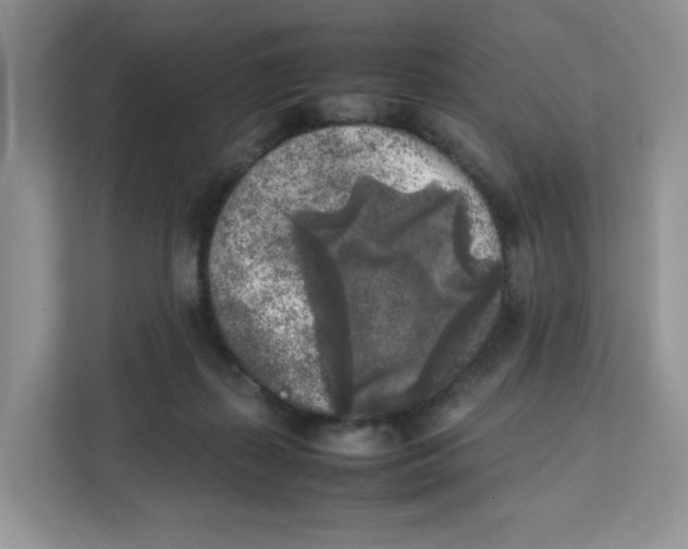 X0000111630267200908071417