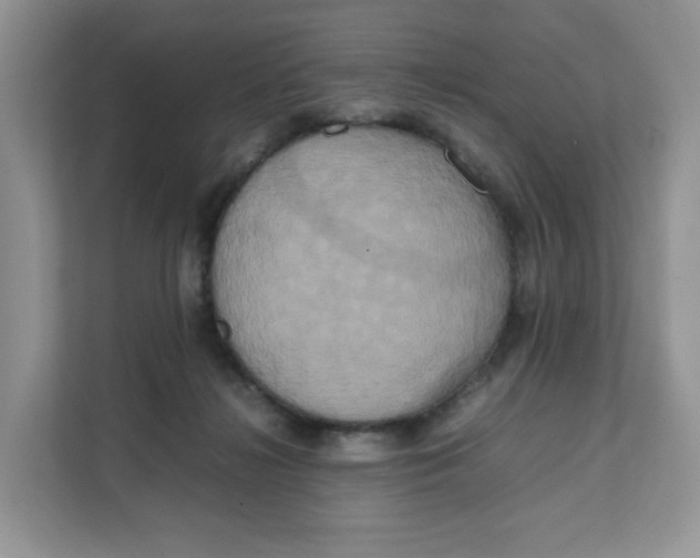 X0000111630268200908071417