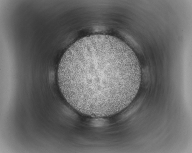 X0000111630269200908071417