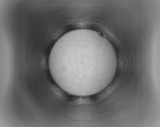 X0000111630270200908071417