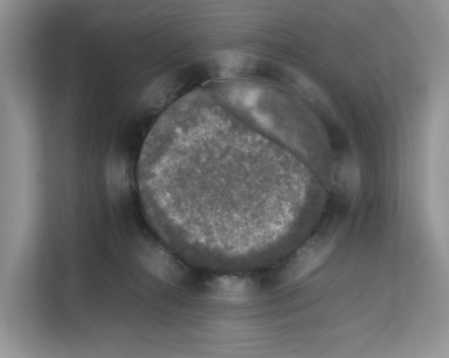X0000111630272200908071417