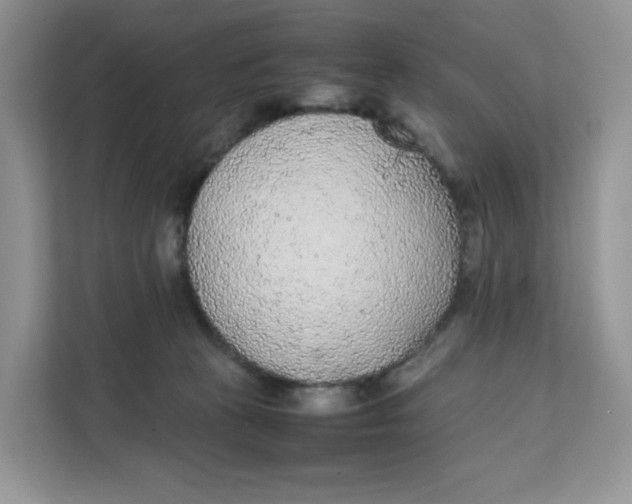 X0000111630273200908071417