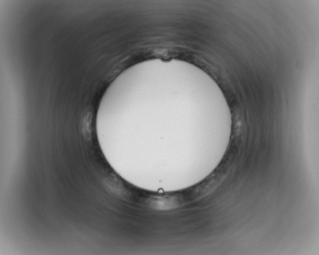 X0000111630275200908071417