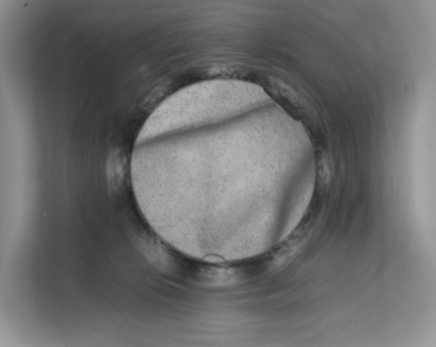 X0000111630276200908071417