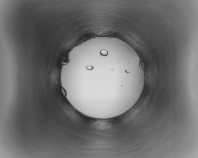 X0000111630280200908071417
