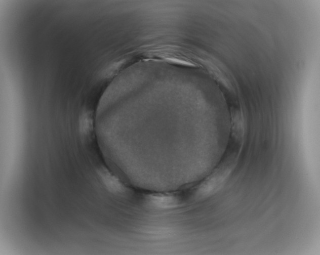 X0000111630284200908071417