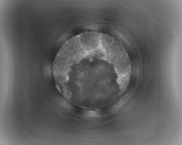 X0000111630285200908071417