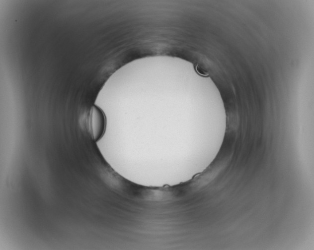X0000111630286200908071417