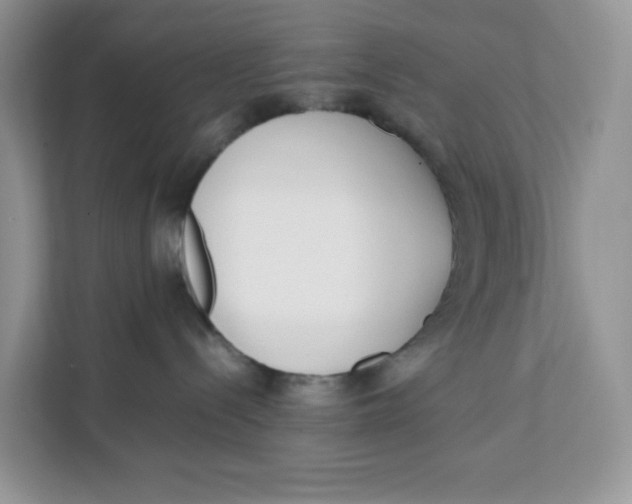 X0000111630288200908071417