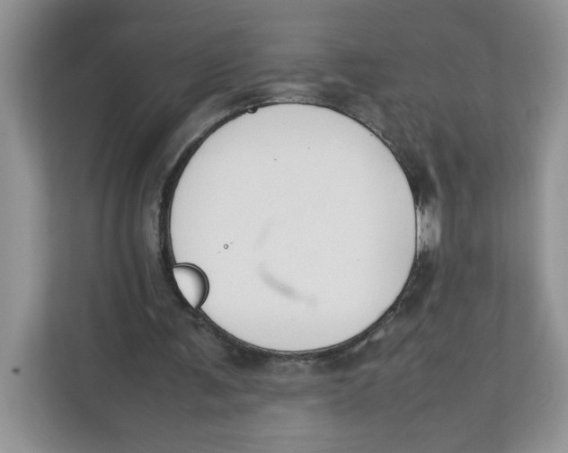 X0000111630291200908071417