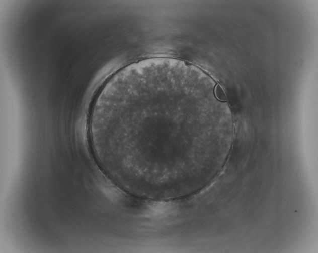 X0000111630293200908071417