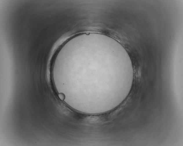 X0000111630294200908071417