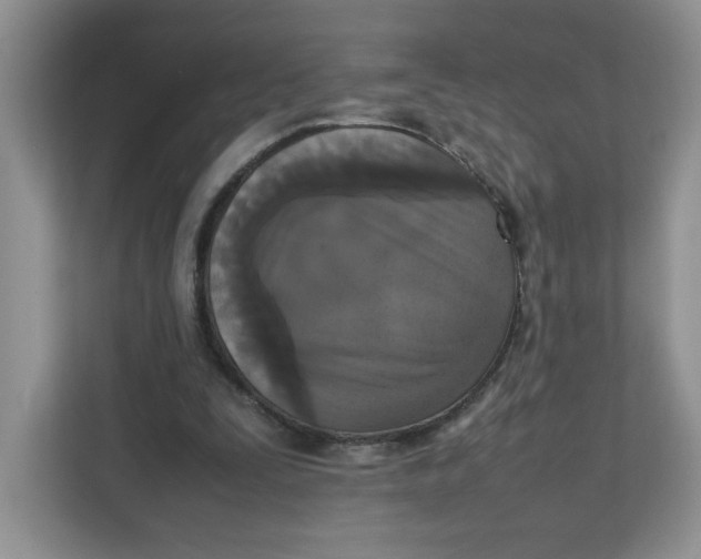 X0000111630295200908071417