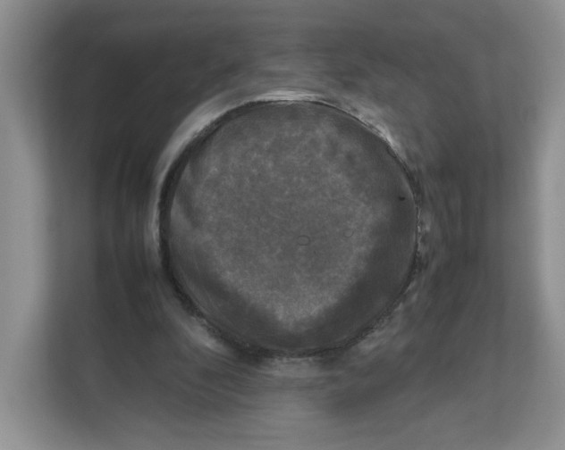X0000111630296200908071417