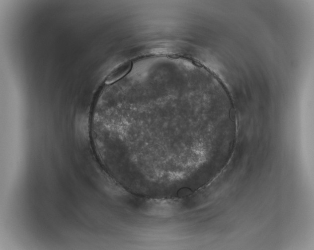 X0000111630297200908071417