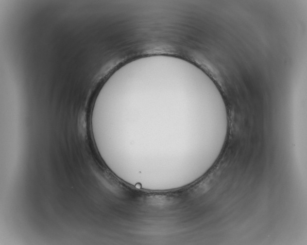X0000111630298200908071417