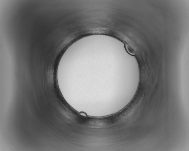 X0000111630299200908071417