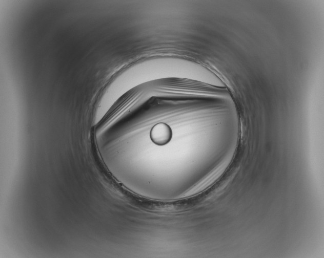X0000111630301200908071417