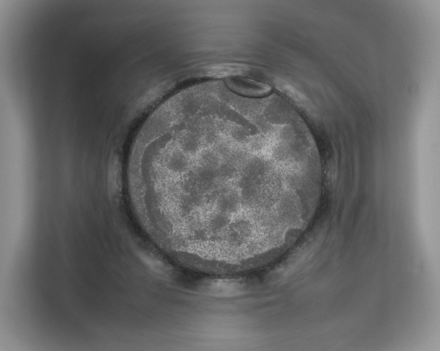 X0000111630303200908071417