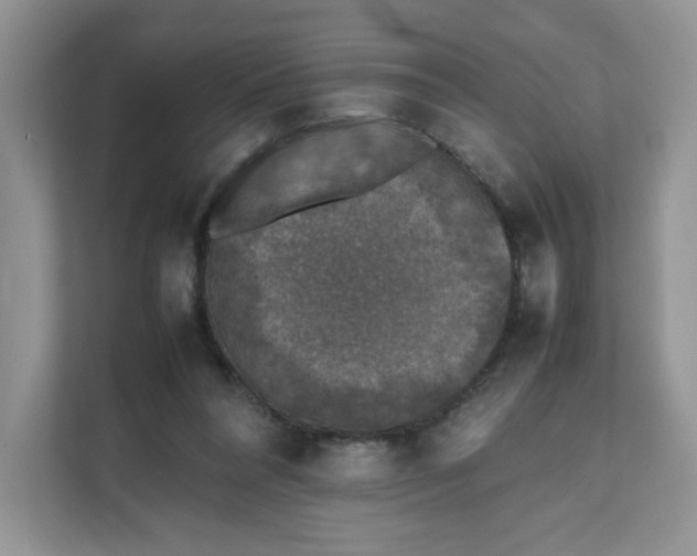 X0000111630304200908071417