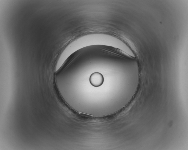 X0000111630305200908071416
