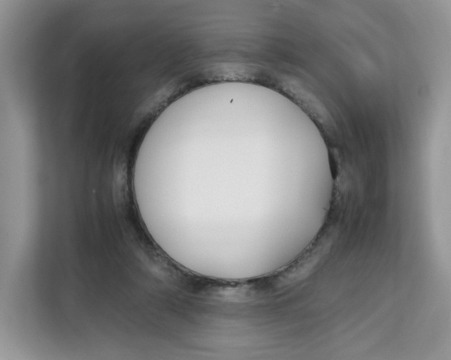 X0000111630306200908071416