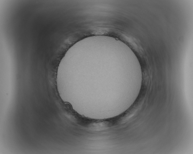 X0000111630307200908071416