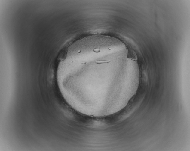 X0000111630308200908071416