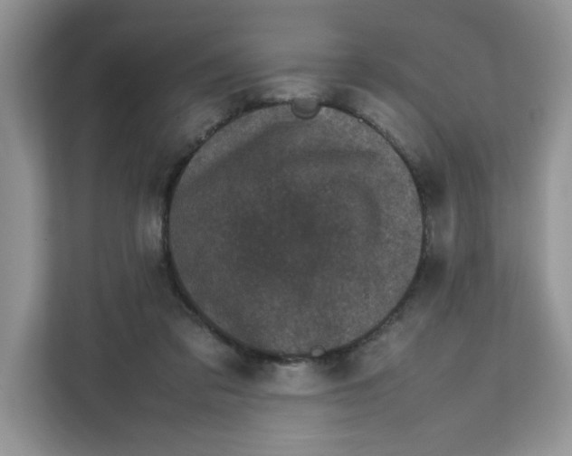 X0000111630309200908071416