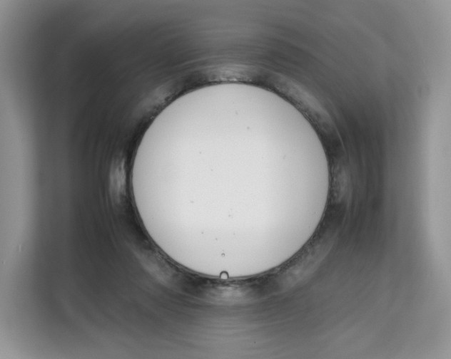 X0000111630310200908071416