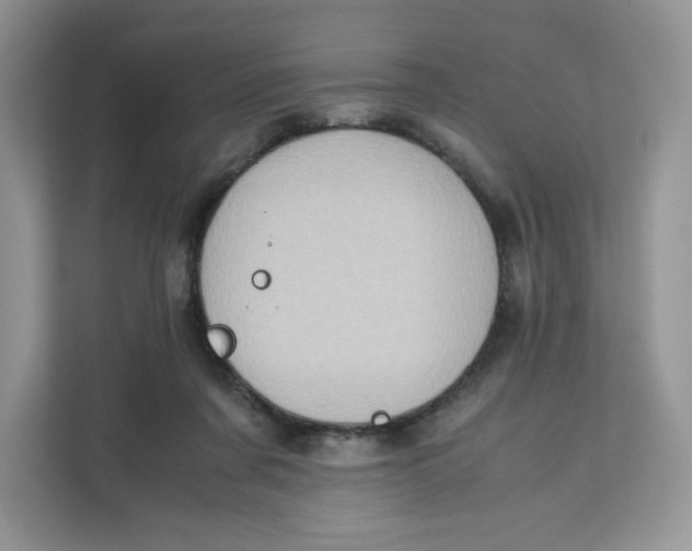 X0000111630311200908071416