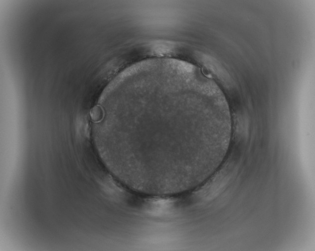 X0000111630313200908071416