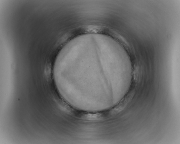 X0000111630314200908071416