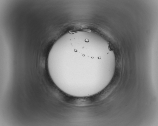 X0000111630315200908071416