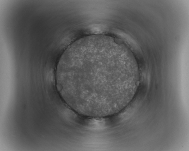 X0000111630317200908071416