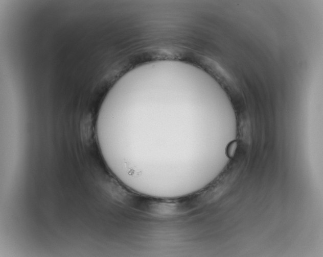 X0000111630318200908071416