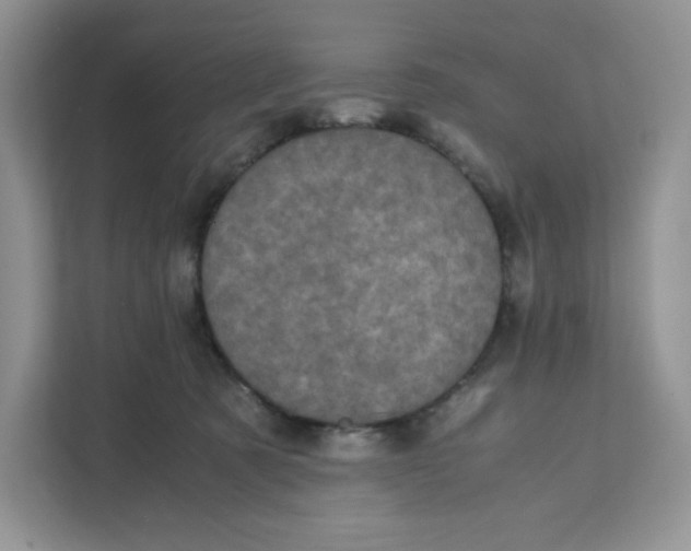 X0000111630321200908071416