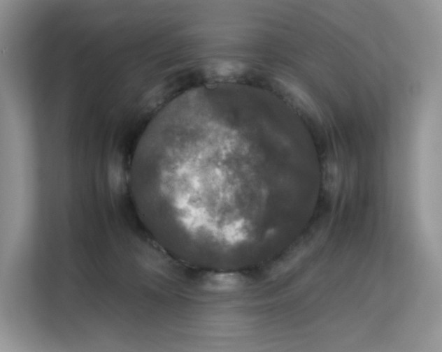 X0000111630324200908071416