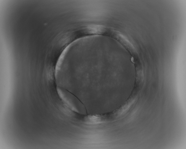 X0000111630325200908071416
