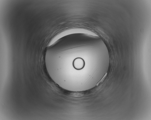 X0000111630327200908071416