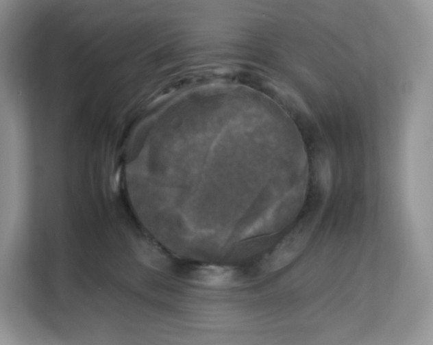 X0000111630328200908071416