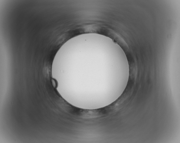X0000111630329200908071416