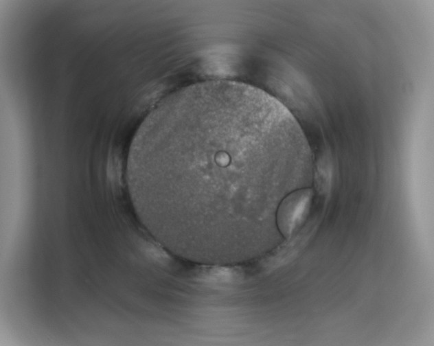 X0000111630330200908071416